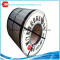 China Steel Plate (PPGI)